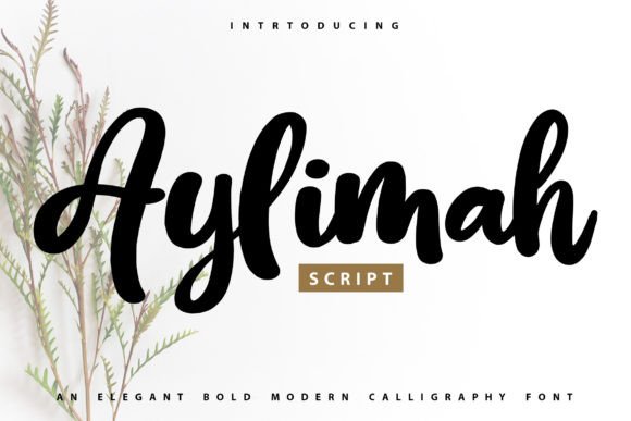 Aylimah Font: A Beautiful Typeface for Branding