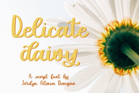 Delicate Daisy: A Soft Script Font